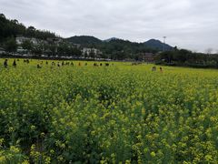 -红山村