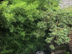 -田德能咖啡博物馆