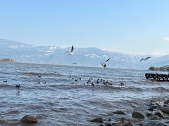 -西昌邛海湿地