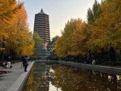 -玲珑塔公园