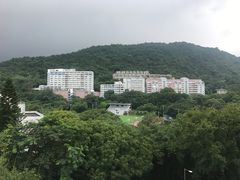 -大埔公路-马料水段香港中文大学(公交站)