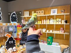 -凤凰汇购物中心