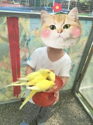 点击看大图 -萌宠亲子动物乐园(槐房万达店)