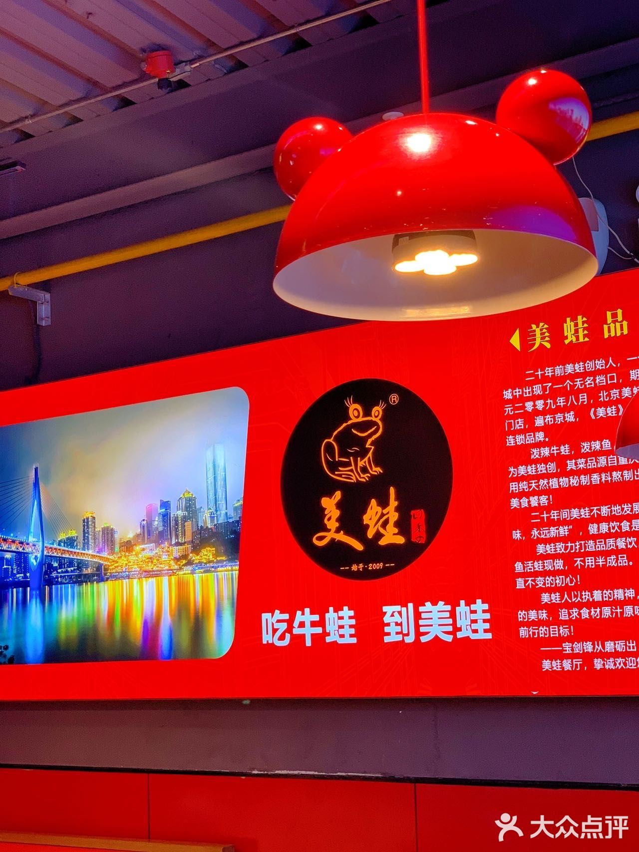 专业做牛蛙二十年，一口下去香迷糊了‼️
