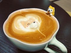 -逗柴咖啡屋·狗咖猫咖宠物桌游