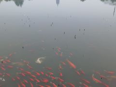 -西海子公园