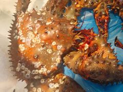 -三个渔夫·蒸汽海鲜(小白楼店)