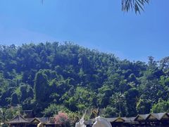 -西双版纳原始森林公园