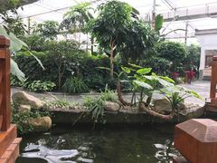 -汤山翠谷生态餐厅