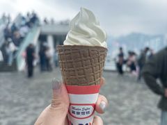 -富豪雪糕车流动点(尖沙咀)