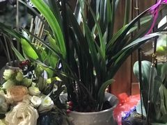 -沪花拾者(好再来花卉鲜花店)