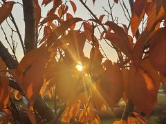 -汉长安城未央宫国家考古遗址公园