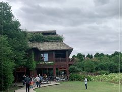 -东滩湿地公园观海楼餐厅