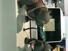 -幸薈飯堂