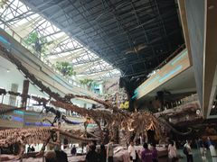 -安徽省地质博物馆