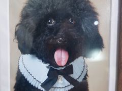 -海马体照相馆(海口日月广场店)