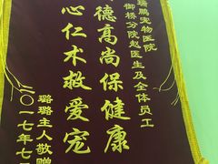 -瑞鹏宠物医院·宠保定点·心脏科·内科(御桥分院)