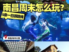 -南昌海洋公园