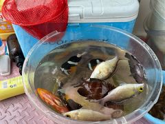 -小猫钓鱼海钓俱乐部(椰梦长廊店)