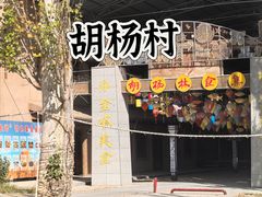 -金塔沙漠胡杨林景区