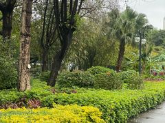 -晓港公园