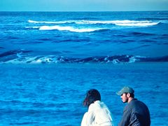 -海珠新都荟城光荟(海珠店)