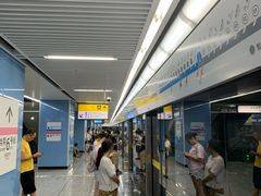 -大龙山(地铁站)