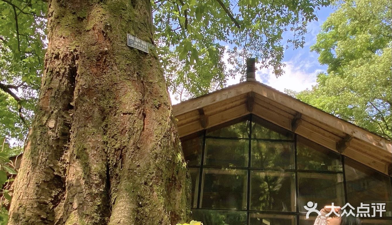 重庆小众景点｜🌳金刚碑古村落