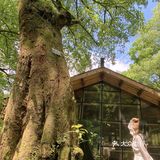 重庆小众景点｜🌳金刚碑古村落