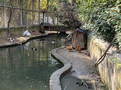 -水绘园
