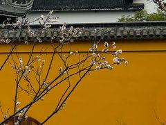 -无锡梅园公园