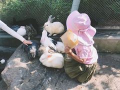 -西霞口神雕山野生动物世界