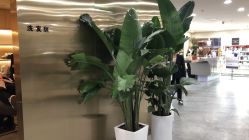 -DX HAIR SALON·发现未知美发沙龙