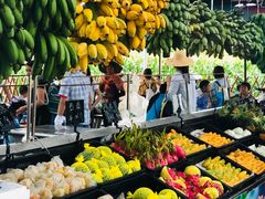 -迪茵湖田家舍生态农场