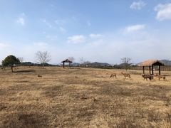 -良渚古城遗址公园