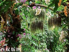 -野象谷景区