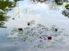 -国家植物园南园