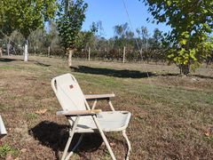 -圣露庄园·露营·烤肉·亲子