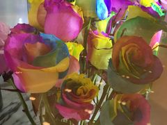 -ROSEONLY诺誓(国际广场购物中心店)