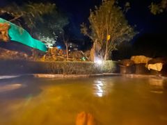 -英德宝晶宫天鹅湖茶语温泉