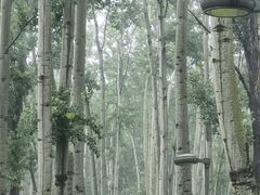 -仁和公园(顺义区)