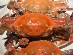 清蒸梭子蟹-新吉士·上海菜(浦东LCM置汇旭辉店)