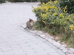 -贮水山儿童公园