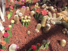 -南通洲际绿博园