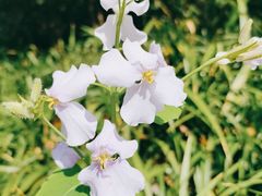 -狼山风景名胜区