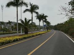 -椰风寨