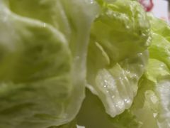 生菜-蜀留香火锅·始于1999·原四川老火锅(白堤路店)