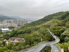 -福道