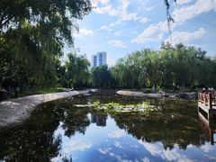 -丰台科技园生态主题公园