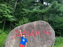 -五营红松林海景区